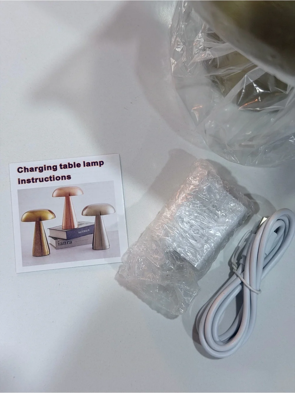 Mushroom Table Lamp, a cordless and rechargeable decorative lighting fixture